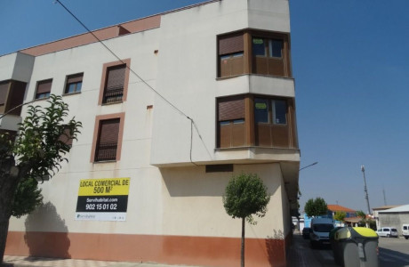 Promoción de tipologias Vivienda Local Garaje en venta Pedro Muñoz Ciudad Real