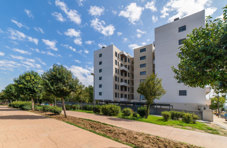 Residencial Rosa Regás, Inmobiliaria Prisma