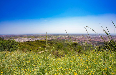 Les Terrasses de Sant Boi