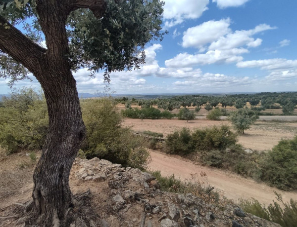 Terreno en venta en carretera Valderrobles s/n