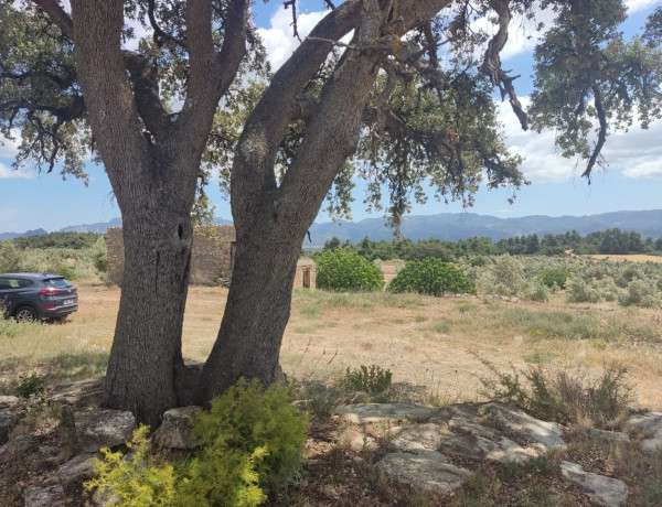 Terreno en venta en carretera Valderrobles s/n