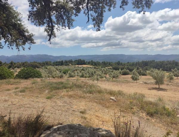 Terreno en venta en carretera Valderrobles s/n