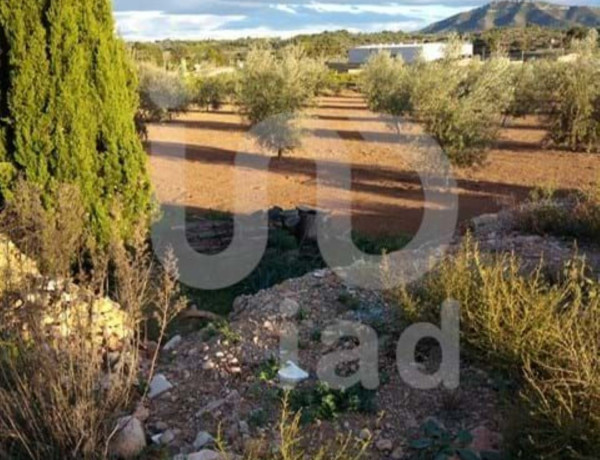 Terreno en venta en Santa Bárbara