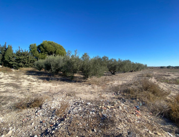 Finca rústica en venta en alto Partida Valverde