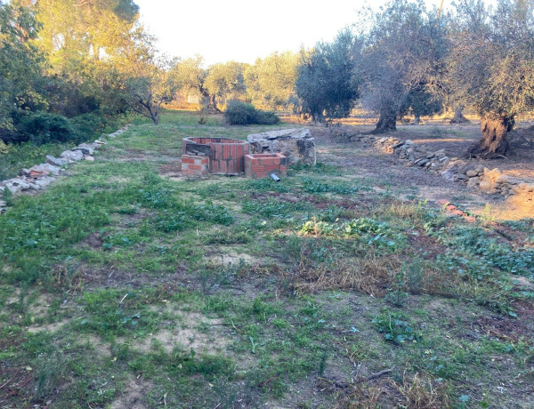 Terreno en venta en Palau Savardera s/n