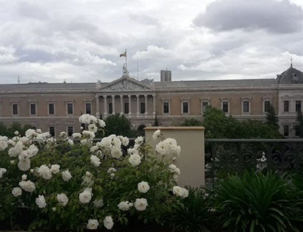 Alquiler de Edificio de oficinas en paseo de Recoletos