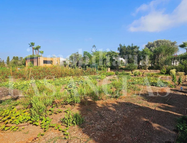 Finca rústica en venta en Santa Eulalia del Río