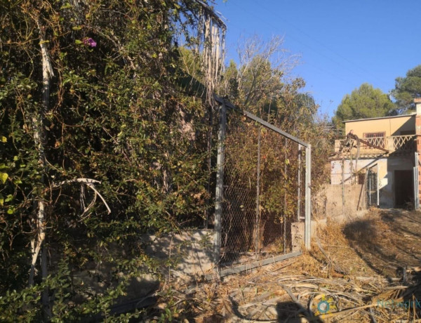 Finca rústica en venta en Oliva pueblo