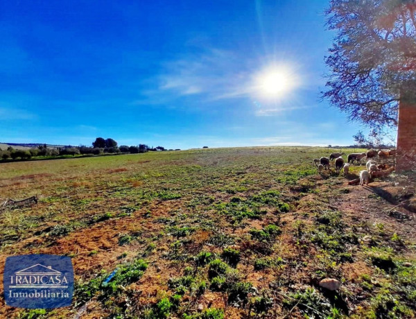 Terreno en venta en Arcos de la Frontera