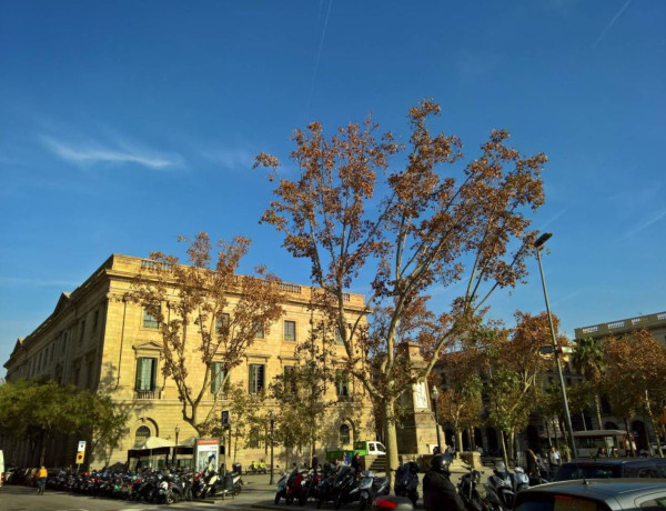 Alquiler de Garaje en calle de Trajà