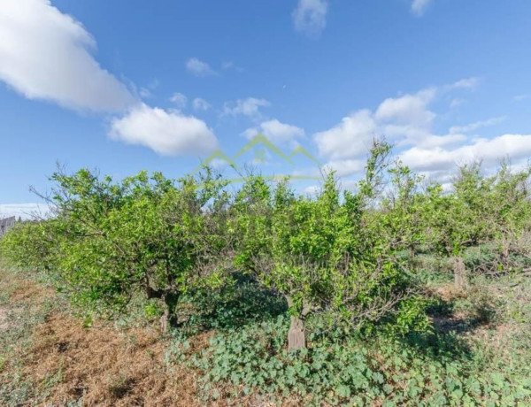 Terreno en venta en Pla dels Aljubs