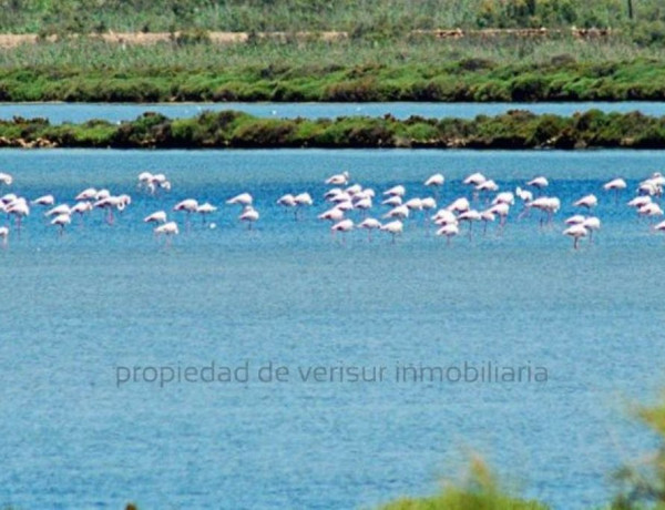 Alquiler de Piso en Las Salinas