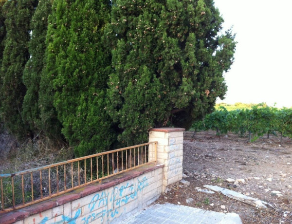 Terreno en venta en Santa Oliva