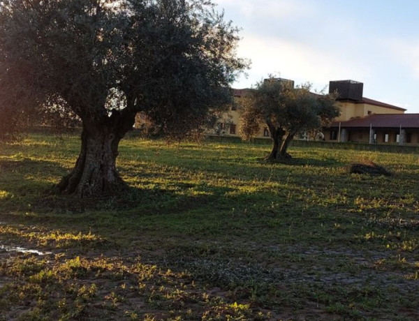 Terreno en venta en calle Iglesia, 86