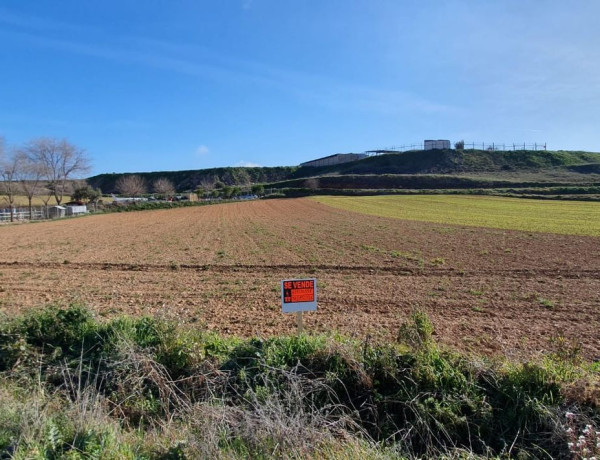 Terreno en venta en El Arenal, 1