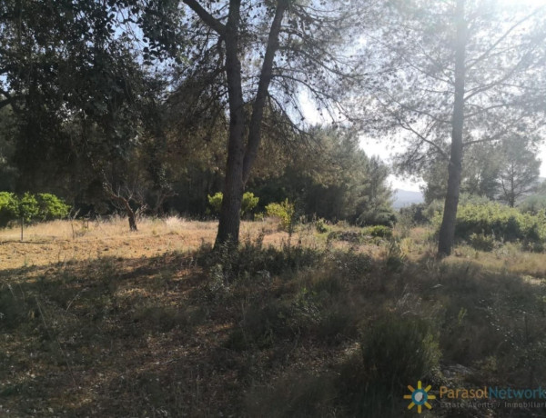 Finca rústica en venta en Beniganim