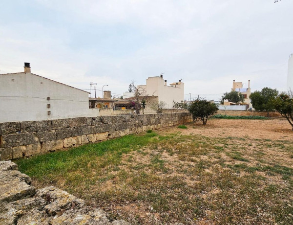 Terreno en venta en S'Aranjassa - Es Pil.larí