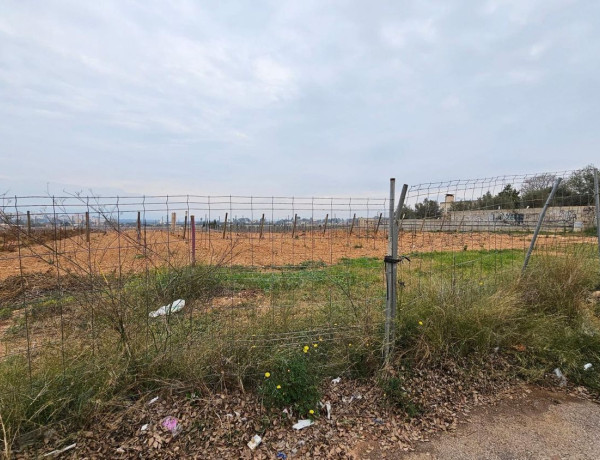 Terreno en venta en S'Aranjassa - Es Pil.larí