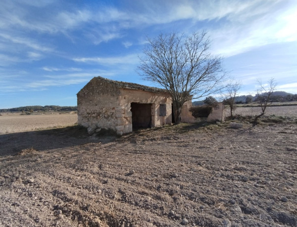 Casa o chalet independiente en venta en Sant Joan