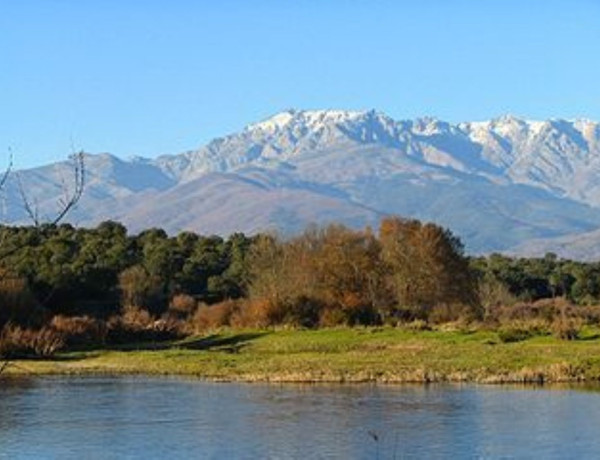 Terreno en venta en Madrigal de la Vera