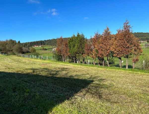 Terreno en venta en monteana