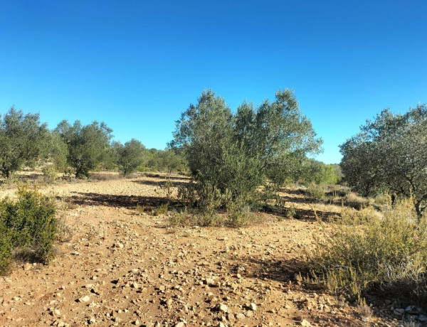 Terreno en venta en Navarrés