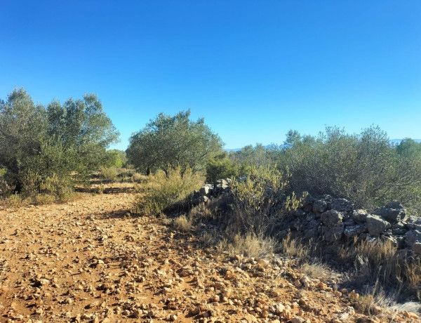 Terreno en venta en Navarrés