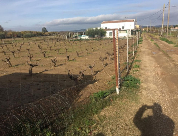 Finca rústica en venta en Patrocinio - Nueva Talavera