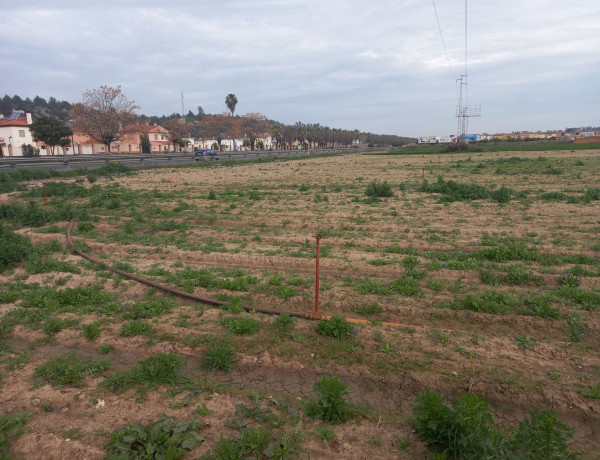 Terreno en venta en calle Ricardo Magdaleno Gallifa s/n