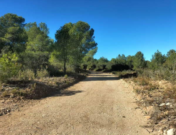 Terreno en venta en Navarrés