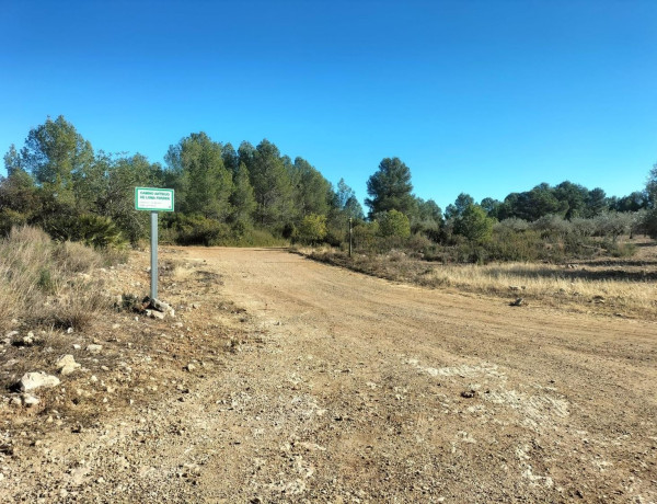 Terreno en venta en Navarrés