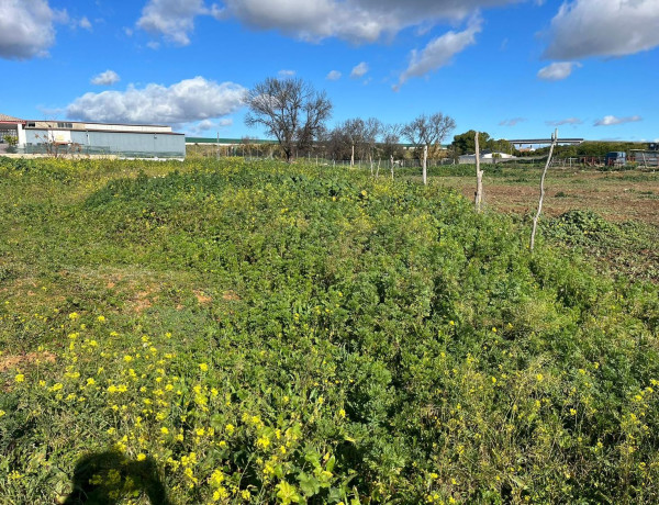 Terreno en venta en carretera La Manta