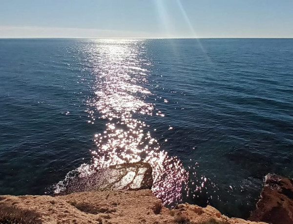 Alquiler de Local en Urb. axarquia, Playa del Rincón