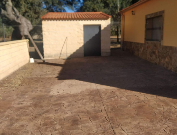 Finca rústica en venta en Poligono 5, 911