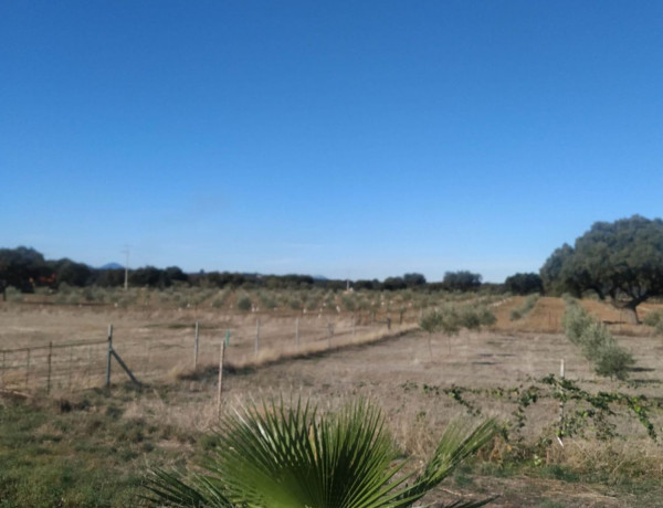 Finca rústica en venta en Poligono 5, 911