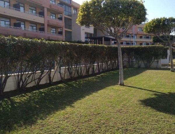 Alquiler de Piso en avenida Descubrimiento, 1