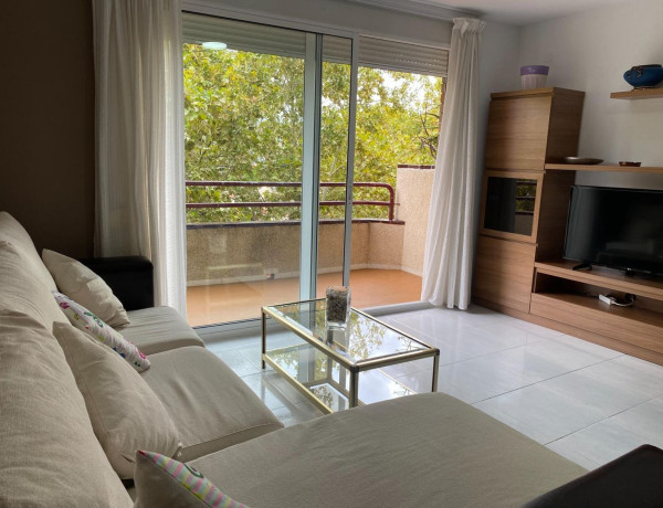 Piso en venta en avenida Mossèn Jaume Soler, 20