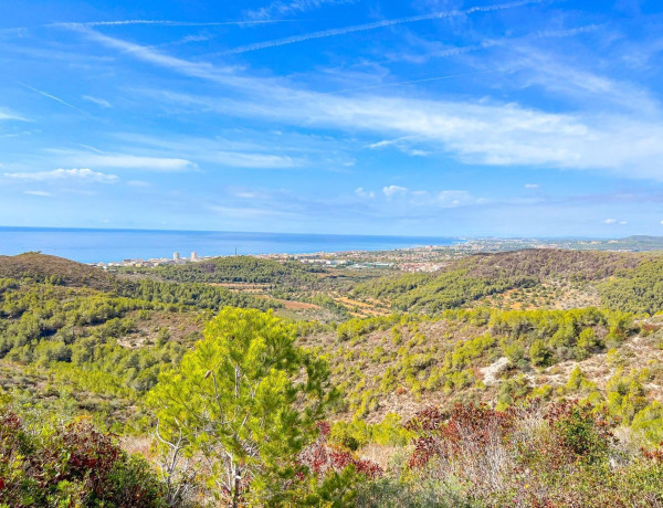 Chalet adosado en venta en avenida Lituània