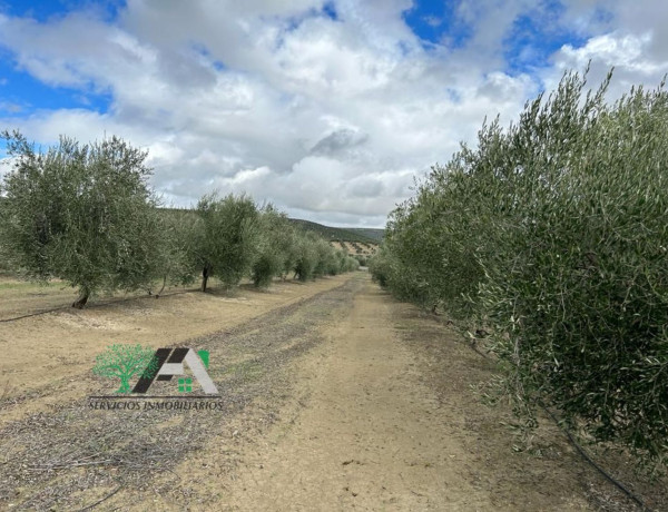 Terreno en venta en Posadas Ricas