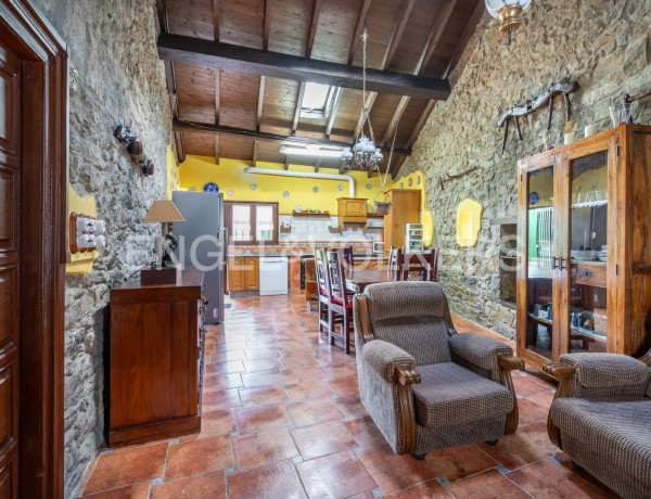 Casa o chalet independiente en venta en Aldea Peñaullán