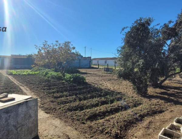 Terreno en venta en Pozoblanco