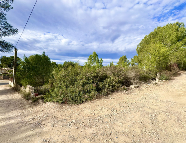 Terreno en venta en Vuela de los Pinos