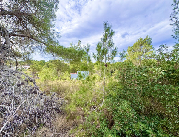 Terreno en venta en Vuela de los Pinos