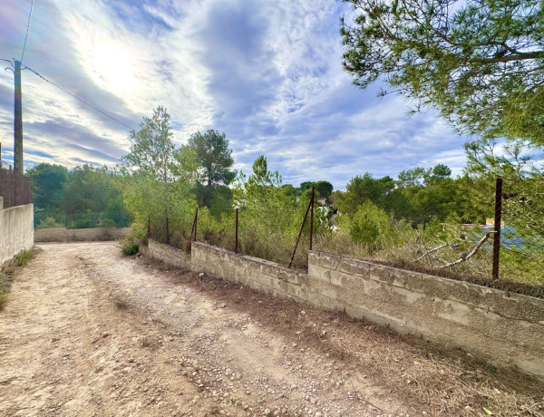 Terreno en venta en Vuela de los Pinos