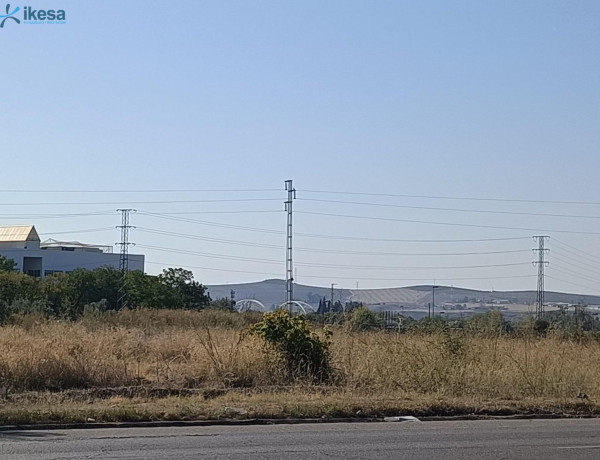 Terreno en venta en calle San Alberto Magno