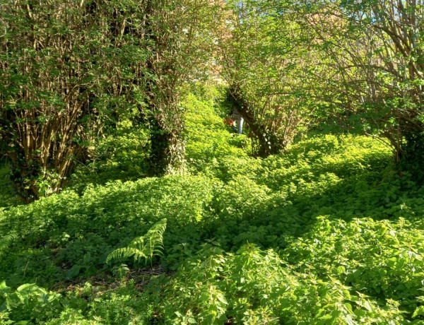 Terreno en venta en avenida do Aeroporto, 24