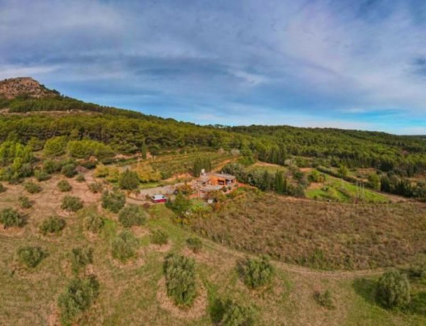 Finca rústica en venta en camino de les Dunes a Sobrestany s/n