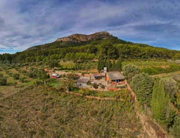 Finca rústica en venta en camino de les Dunes a Sobrestany s/n