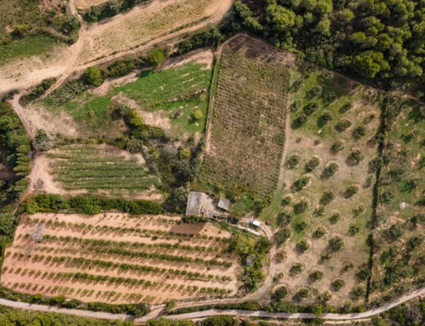 Finca rústica en venta en camino de les Dunes a Sobrestany s/n