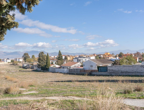 Terreno en venta en calle Geraneo